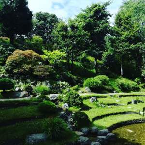 #japonism #garden #albertkahn #paris